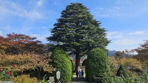 Hakone Gora Park