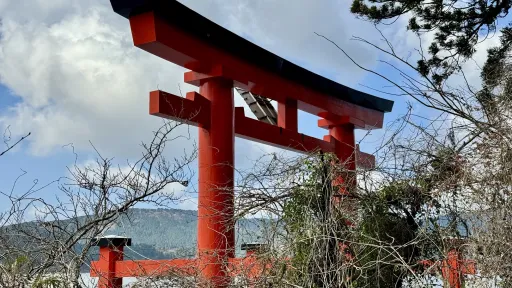 Heiwa-no-Torii (Hakone Shrine)