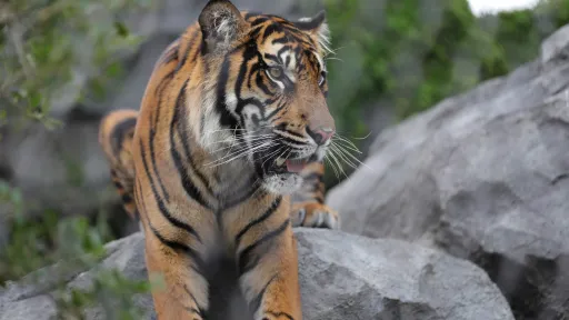Higashiyama Zoo and Botanical Gardens