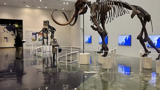 Hokkaido Museum
