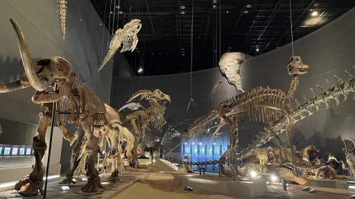 Kanagawa Prefectural Museum of Natural History