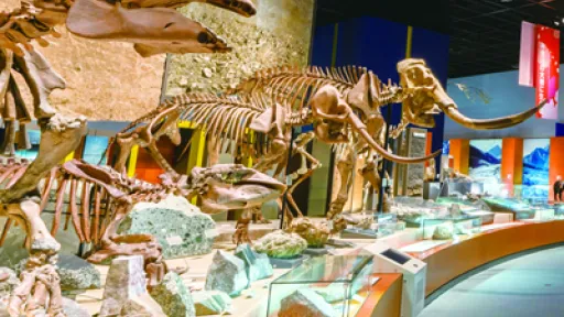 Kanagawa Prefectural Museum of Natural History