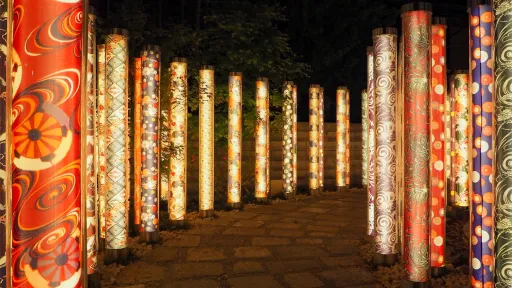 Kimono Forest