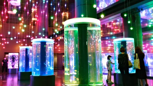 Maxell Aqua Park Shinagawa