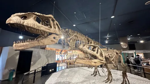 Nagoya City Science Museum