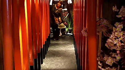 Ninja Trick House In Tokyo