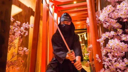 Ninja Trick House In Tokyo