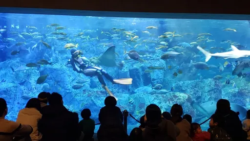 Oita Marine Palace Aquarium "Umitamago"