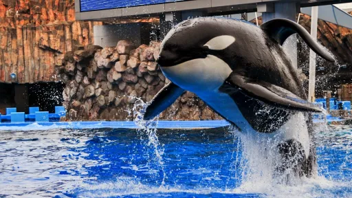 Port Of Nagoya Public Aquarium