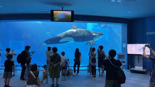 Port Of Nagoya Public Aquarium