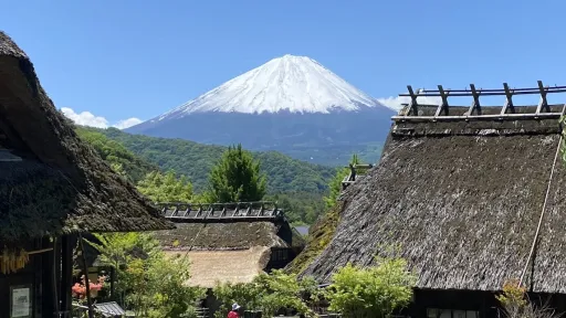 Saiko Iyashi-no-Sato Nemba (Traditional Japanese Village)