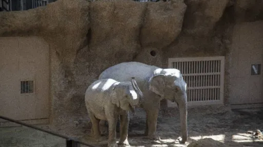 Sapporo City Maruyama Zoo