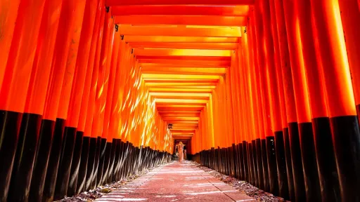 Senbon Torii (Thousand Torii Gates)