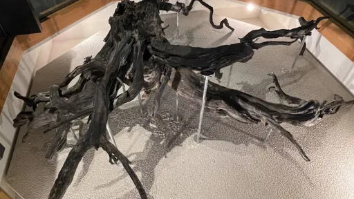 Sendai City Tomizawa Site Museum