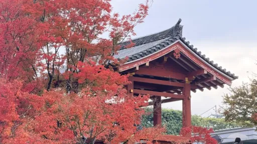 Byodo-in Teien (Garden)