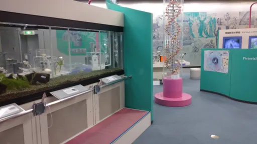 Niigata Science Museum