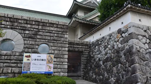 Toyama Castle Ruin Park