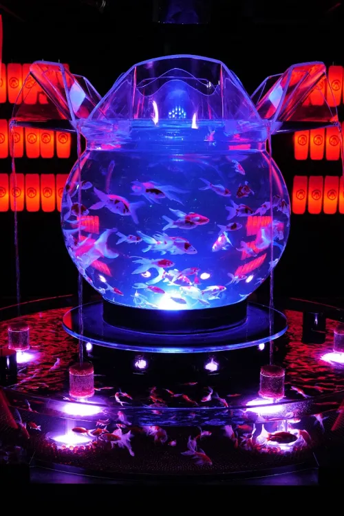 ART AQUARIUM MUSEUM