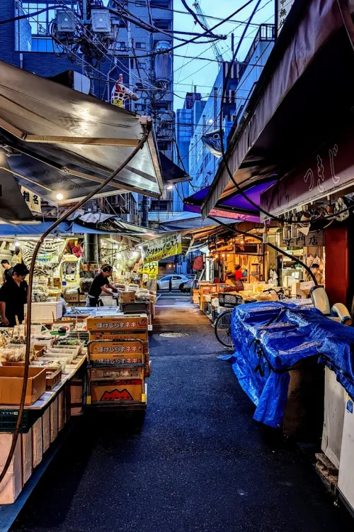 Fish Market Tsukiji Outer Market