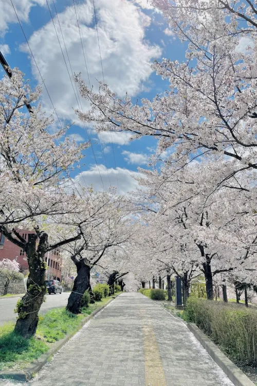 Jōyama Park