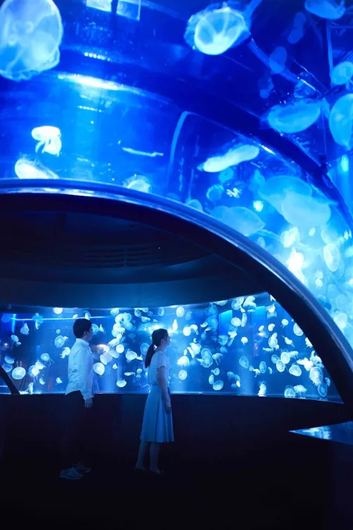Kyoto Aquarium