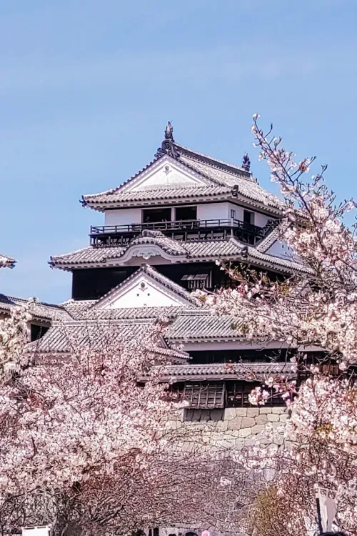 Matsuyama Castle