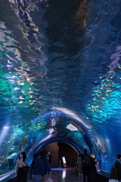 Maxell Aqua Park Shinagawa