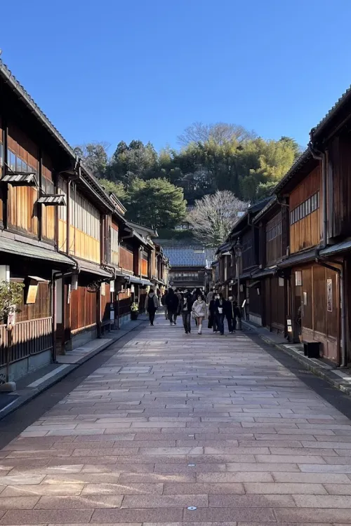 Nishi Chaya District
