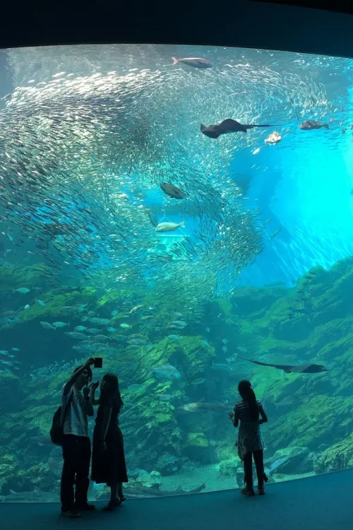 Sendai Umino-Mori Aquarium