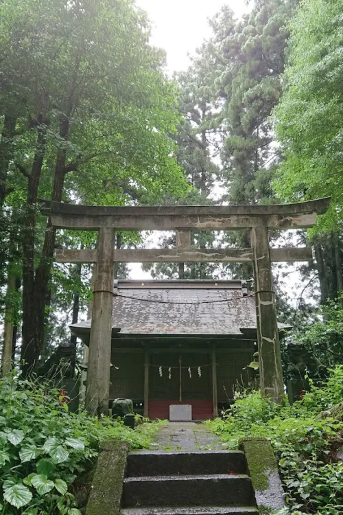 Suginamiki Park