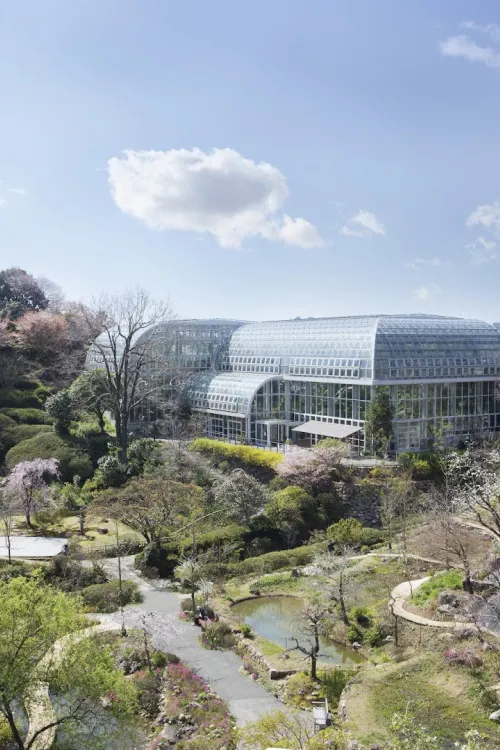 The Kochi Prefectural Makino Botanical Garden