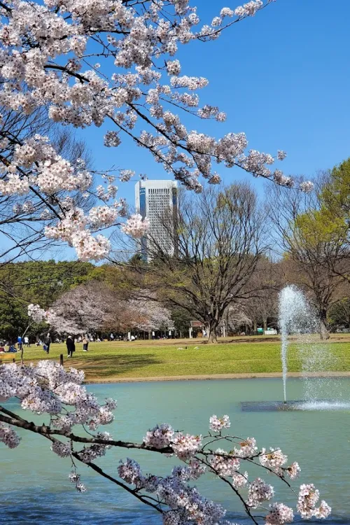 Yoyogi Park