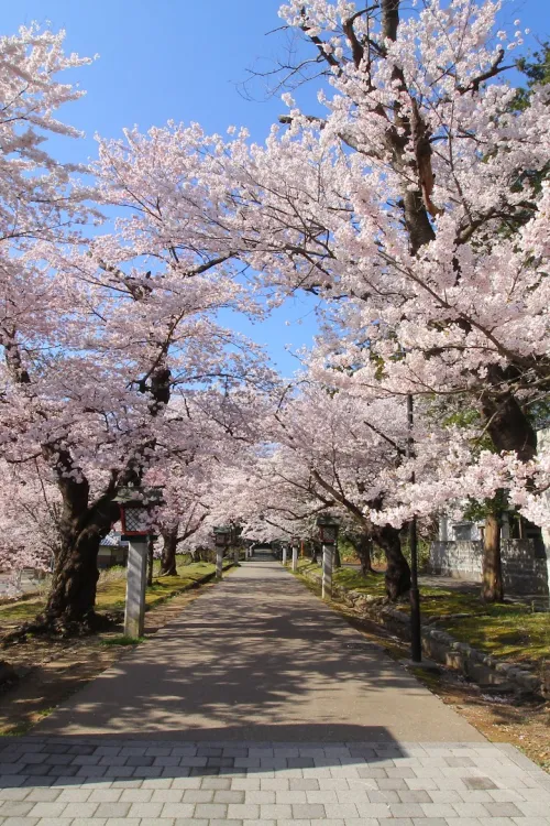 Yahiko Park